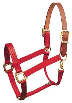 BREAKAWAY 1″ NYLON HALTER WITH SNAP, DURABLE BRONZE HARDWARE, halter, breakaway, nylon, Triple E Manufacturing