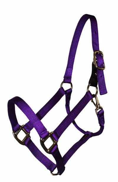 BREAKAWAY 1″ NYLON HALTER WITH REPLACEABLE LEATHER BUCKLE AND SNAP, DURABLE BRONZE HARDWARE, halter, nylon, breakaway, Triple E Manufacturing