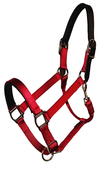 Nylon Horse Neoprene Padded Burgundy Adjustable Halter Brass