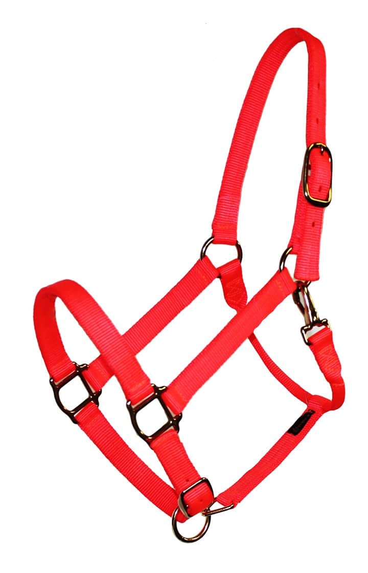 Economy 1 Adjustable Nylon Halter, Lightweight Bronze Hardware - Horse  Tack & Supplies