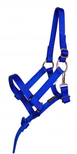 FOAL 3/4″ FULLY ADJUSTABLE NYLON HALTER W/REMOVABLE HANDHOLD & SNAP, foal, halter, adjustable, nylon, Triple E Manufacturing