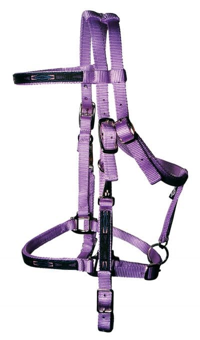 Trail Bridle with Overlay