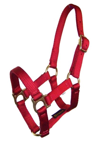 WEANLING/SUCKLING 3/4″ PREMIUM NYLON HALTER, NO SNAP, halter, weanling, suckling, nylon, Triple E Manufacturing