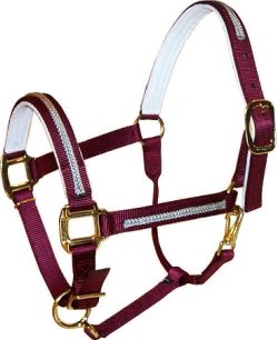 Braided Trim Overlay 1" Adjustable Felt-Lined Halter, Durable Bronze Hardware