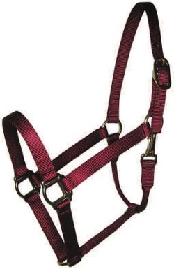 Economy 1" Nylon Halter with Snap, Lightweight Bronze Hardware