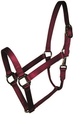 Nylon Miniature with Double Buckles on Crown Burgundy - Pony Halter 