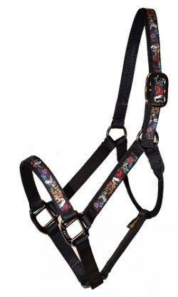 Economy 1" Nylon Halter with Overlay, Lightweight Bronze Hardware, No Snap