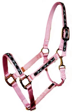 Economy 1" Nylon Halter with Overlay & Snap, Lightweight Bronze Hardware