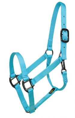 Premium 1" Nylon Halter with Snap, Durable Steel Gray Hardware