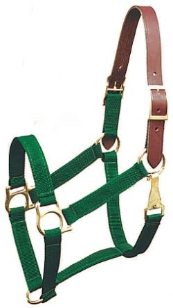 Breakaway 1" Triple-Ply Poly Web Halter w/Snap, Brass-Plated Hardware