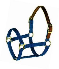 Breakaway 3/4" Triple-Ply Poly Web Halter w/Snap, Brass-Plated Hardware