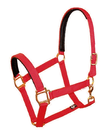 PVC Padded 1" Poly Web Halter with snap, Brass-Plated Hardware