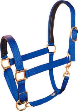 PVC Padded 1" Adjustable Poly Halter, Brass-Plated Hardware