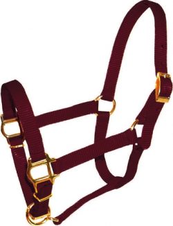 Mini 5/8" Premium  Nylon Adjustable Halter, No Snap