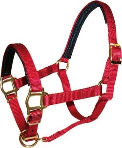 Mini 5/8" Premium  Nylon Adjustable Halter w/PVC Padding, No Snap