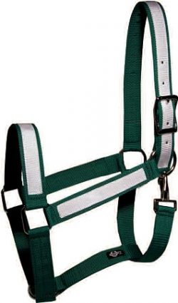 Draft Halter, 1 1/2" Poly Web Halter w/Overlay & Snap