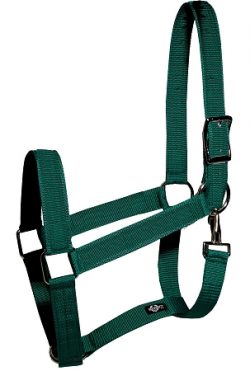 Draft Halter, 1 1/2" Poly Web Halter with Snap