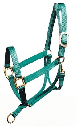 Training Halter