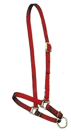 Grooming Halter