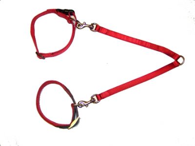 Double Dog Leash Coupler, Durable Bronze Hardware