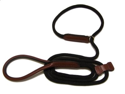 Dog Collar/Leash Combo