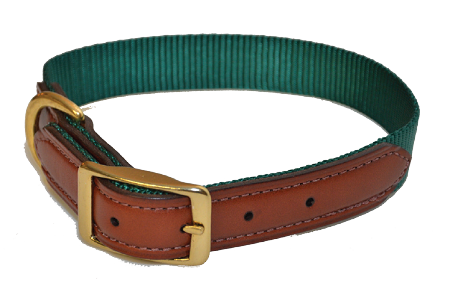 Dog Collar, 1" Premium Nylon with Leather Ends