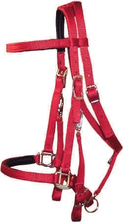 Padded Trail Bridle with Nickel Hardware