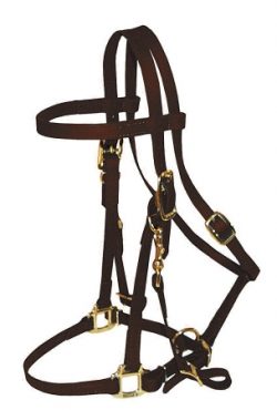 Dura-Tough Beta Trail Bridle