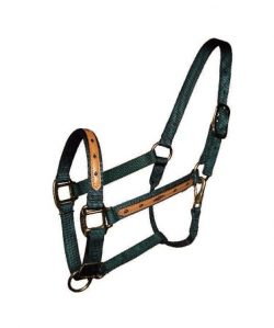 1" Leather Overlay Adjustable Nylon Halter with Snap, Bronze Hardware