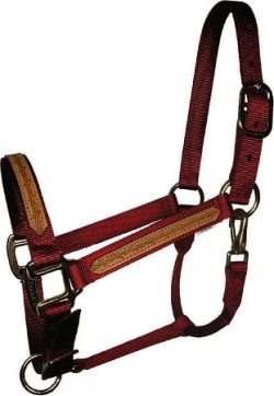 1" Leather Overlay Adjustable Nylon Halter with Snap, Steel Gray Hardware, horse halter with snap, Triple E Manufacturing