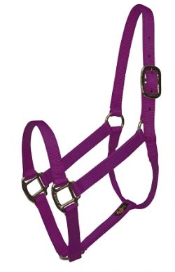 Premium 1" Nylon Halter, No Snap, Durable Bronze Hardware