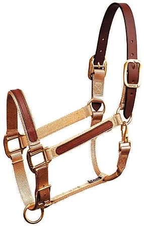 1 Leather Overlay Adjustable Nylon Halter with Leather Crown