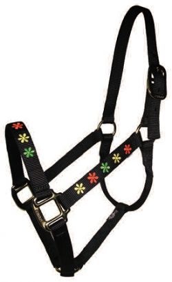 Embroidered 1" Nylon Halter, No Snap, Durable Bronze Hardware