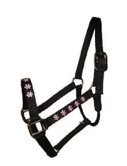 Embroidered 1" Nylon Halter, No Snap, Durable Steel Gray Hardware, horse, Triple E Manufacturing