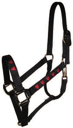 Embroidered 1" Nylon Halter with Snap, Durable Bronze Hardware, throat snap. embroidered, halter, nylon, Triple E Manufacturing