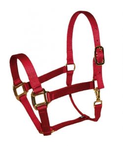 Premium 1" Nylon Halter with Snap, Durable Bronze Hardware