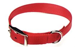 DOG COLLAR, PREMIUM 1″ NYLON, dog, collar, nylon, Triple E Manufacturing