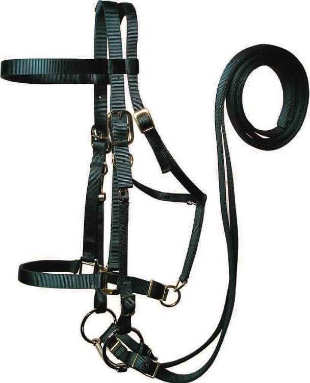 Intrepid International Draft Horse Nylon Halter - 2-Ply With Overlay For Large Breeds