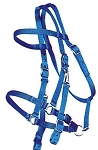 Trail Bridle with Nickel Hardware