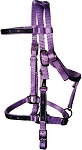 Trail Bridle with Southwest Overlay, Nickel Hardware