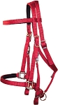 Padded Trail Bridle with Nickel Hardware