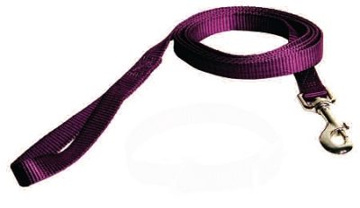 4' Nylon 3/4" Web small dog leash