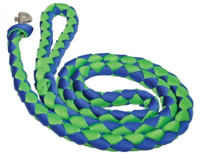 4' Braided Nylon Leash with Braided Handle