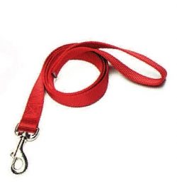 4' Leash, 1" Premium Nylon Webbing