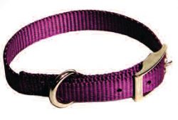 Dog Collar, Premium 3/4" Nylon