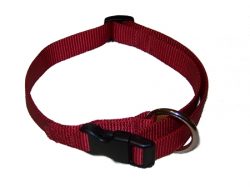 Adjustable Dog Collar, 3/4" Premium Nylon