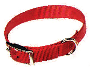 Dog Collar, Premium 1" Nylon