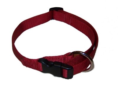 Small Adjustable Dog Collar, Premium 1" Nylon