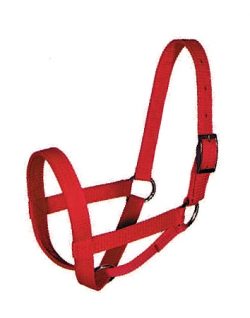 Cow Halter, Triple-Ply Poly Web