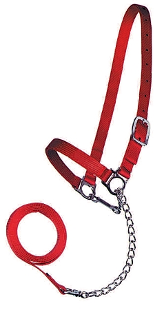 Cow Halter, Double-Ply Premium Nylon with Lead